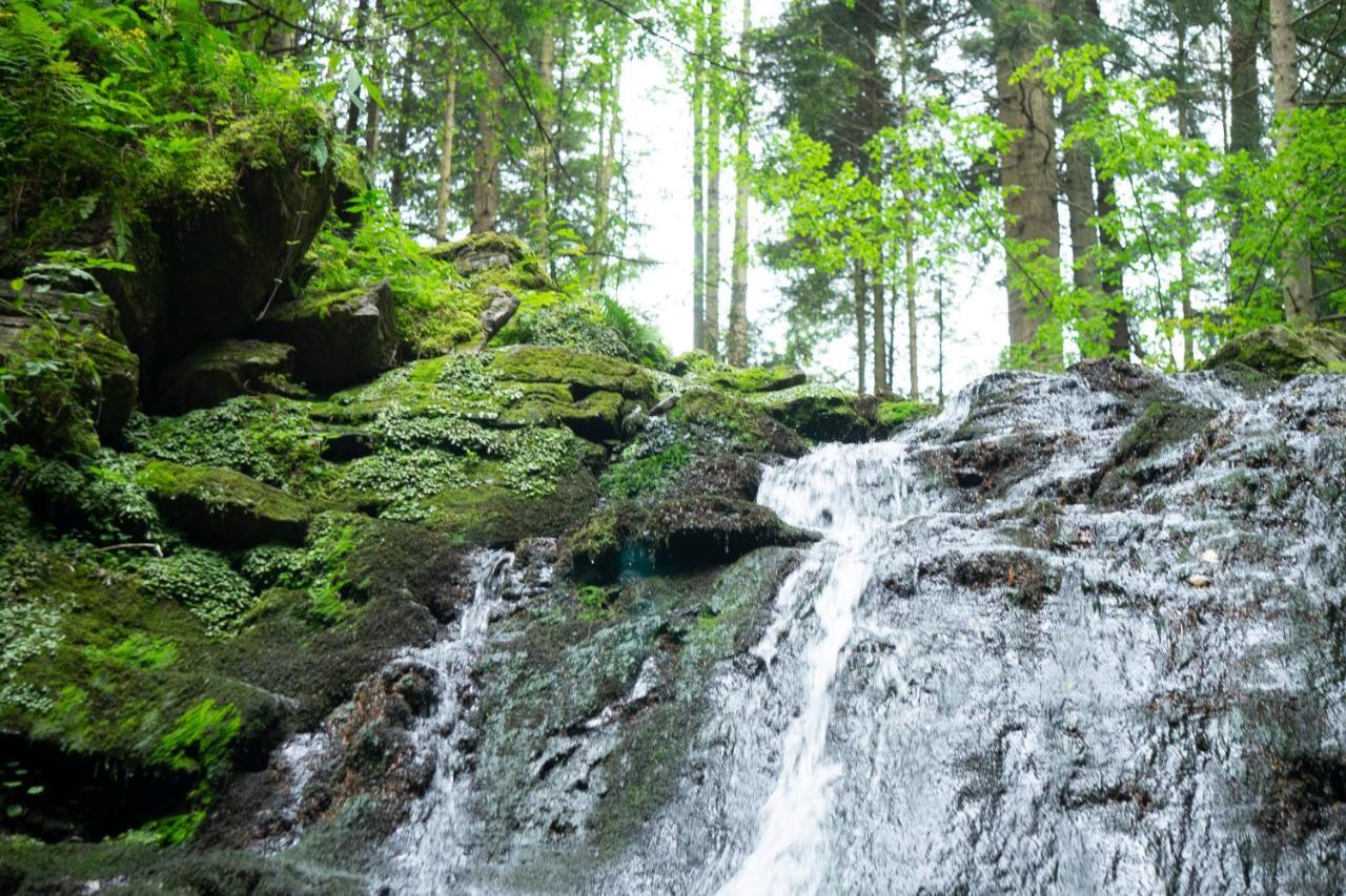 U Dvori Hotel Podgorodtsy Buitenkant foto